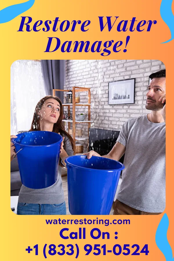 water restoration Central Damage Restoration LLC North Plainfield