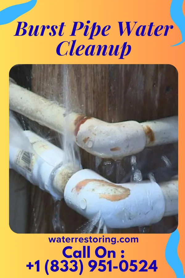 Burst Pipe Water Cleanup in North Plainfield, NJ