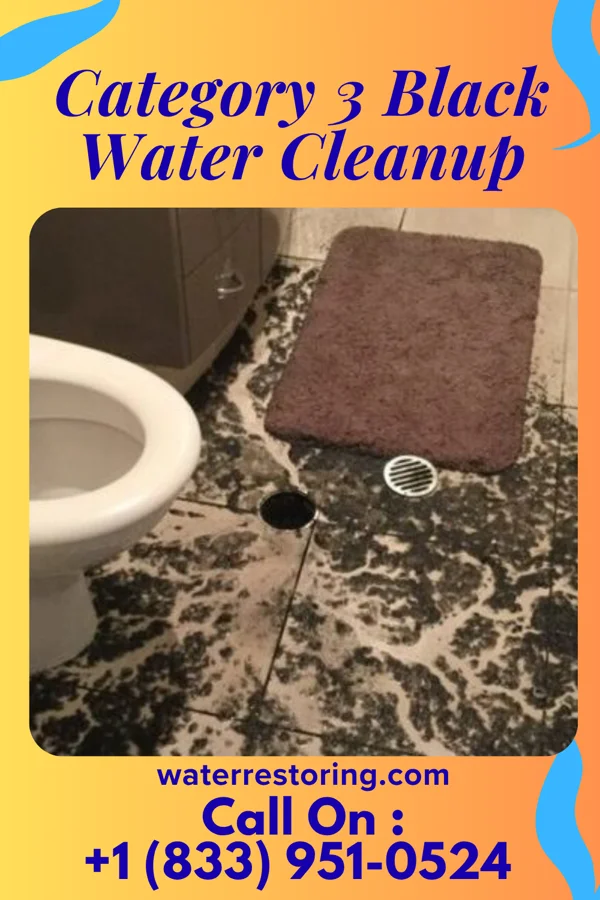 Category 3 Black Water Cleanup in North Plainfield, NJ