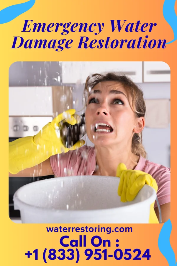 Emergency Water Damage Restoration in North Plainfield, NJ