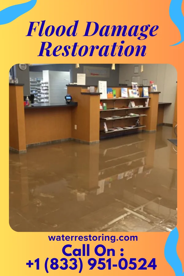 Flood Damage Restoration in North Plainfield, NJ