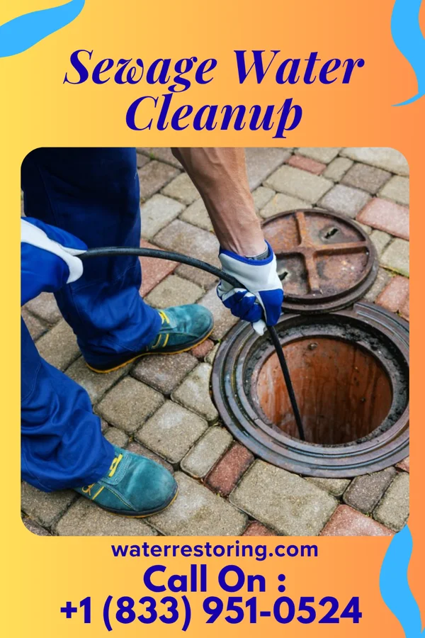 Sewage Water Cleanup in North Plainfield, NJ